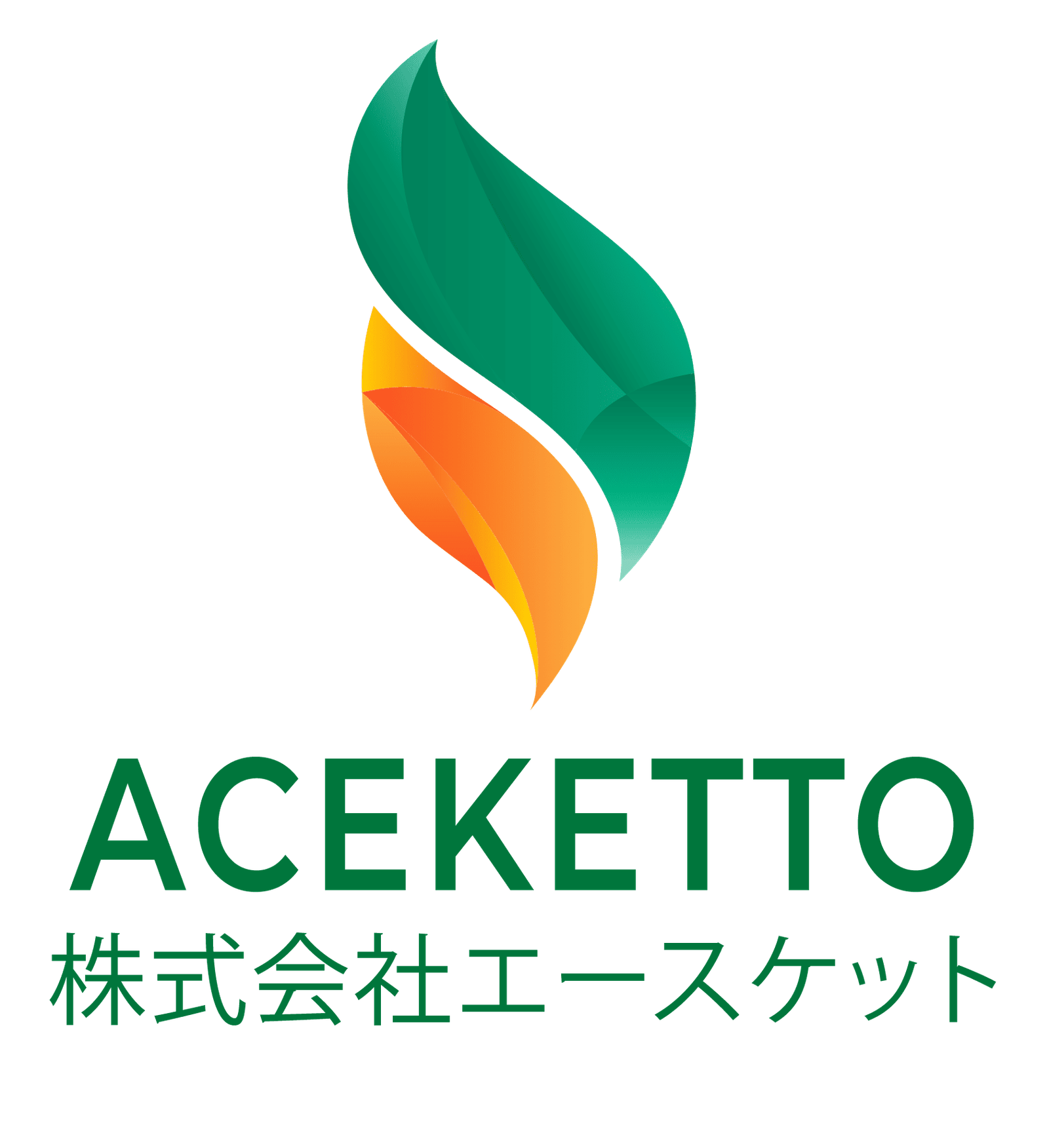 Aceketto Co. Ltd.